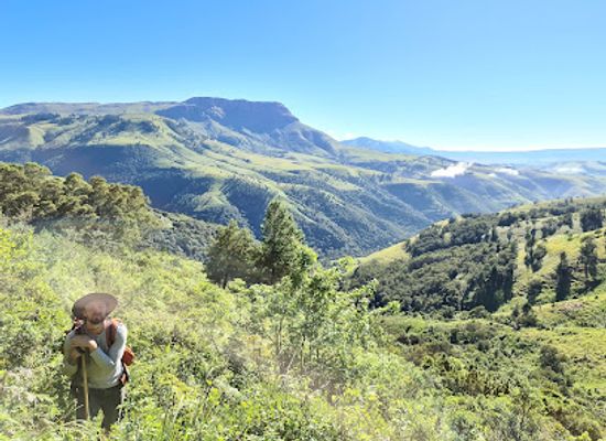 south-africa/amatola-mountains/landmark/amatola-trails