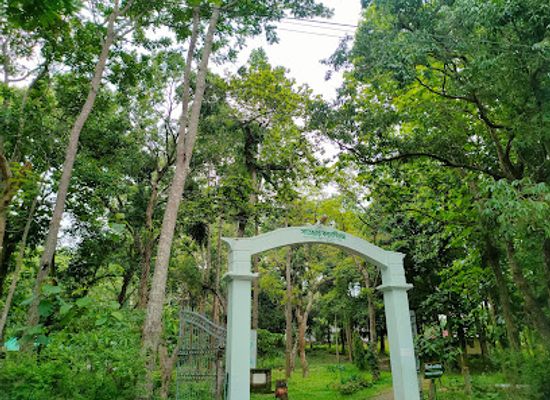 bangladesh/sylhet-division/landmark/satchari-national-park