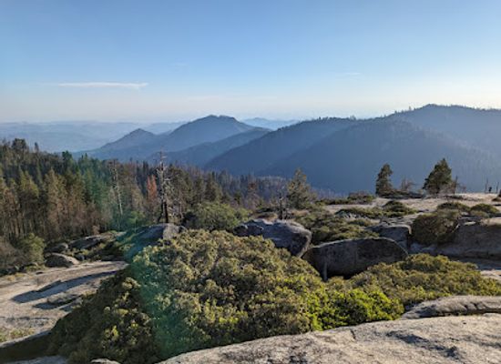california/sequoia-national-park/landmark/giant-forest-museum
