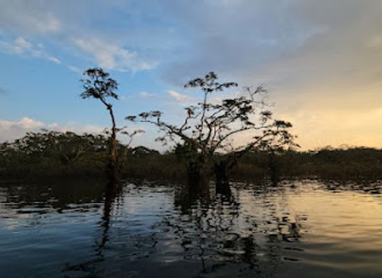 ecuador/southwest-coast/landmark/reserva-de-produccion-de-fauna-cuyabeno