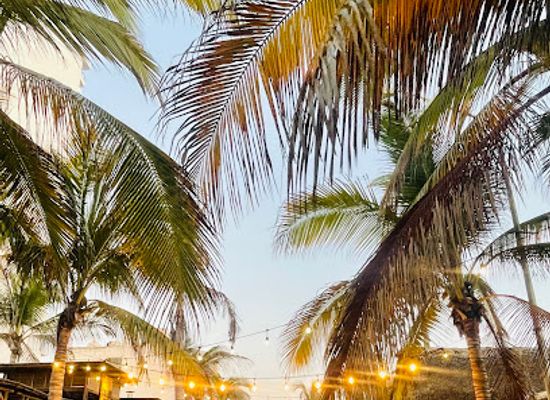 mexico/mazatlan/landmark/letras-mzt-venado