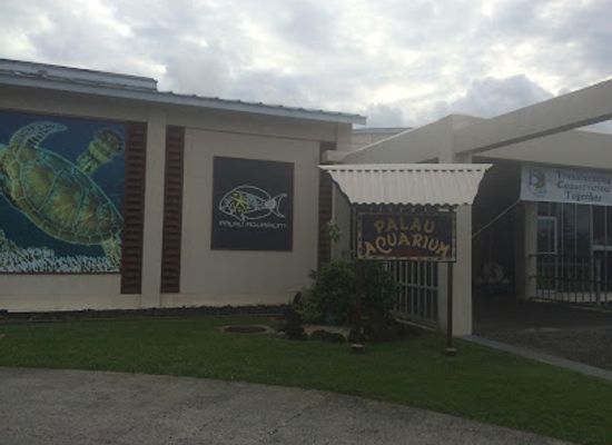 palau/ngchelobel/landmark/palau-aquarium