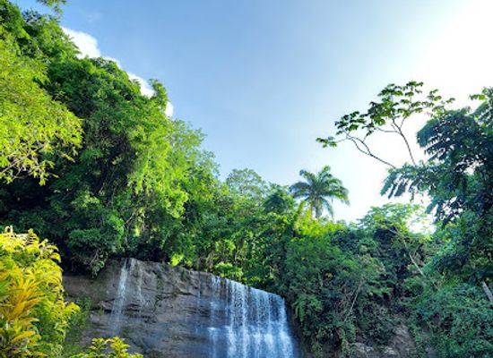 grenada/mt-qua-qua/landmark/mt-carmel-falls