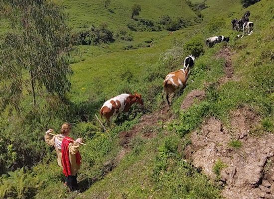 rwanda/western-province/landmark/ibere-rya-bigogwe