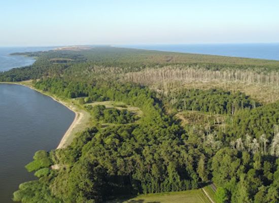 lithuania/curonian-spit-national-park/landmark/juodkrante-colony-of-grey-herons-and-great-cormorants