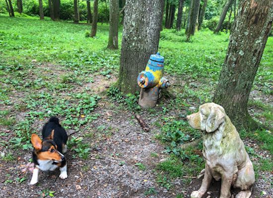 west-virginia/fairmont/landmark/fido-s-backyard