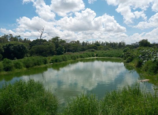 zambia/lusaka/landmark/kalimba-reptile-park