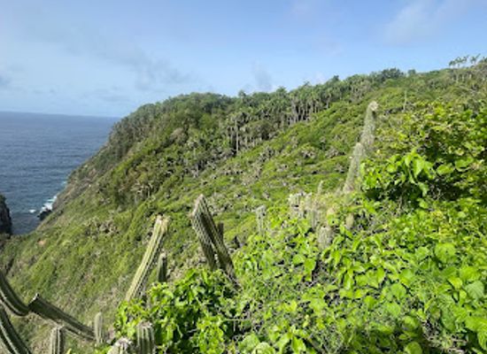trinidad-and-tobago/tobago/landmark/wildlife-sanctuary