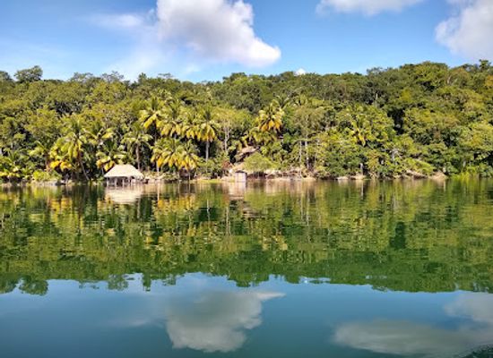 guatemala/northern-lowlands/landmark/jorge-s-rope-swing