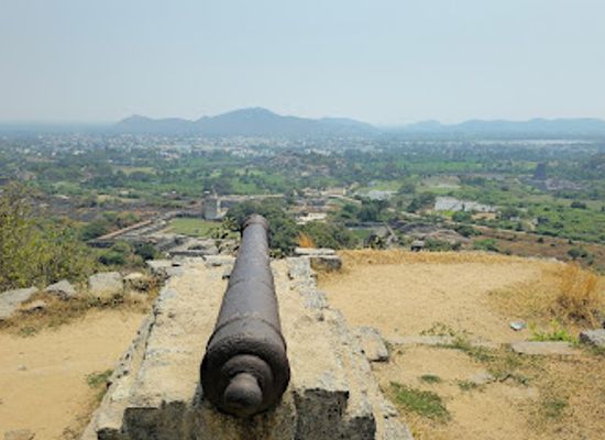 india/tamil-nadu/landmark/raja-fort-canon