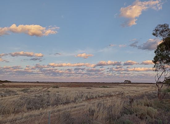 australia/mallee/landmark/mallee-fowl-rest-area