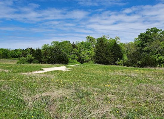 texas/red-river-valley/landmark/spring-creek-forest-preserve