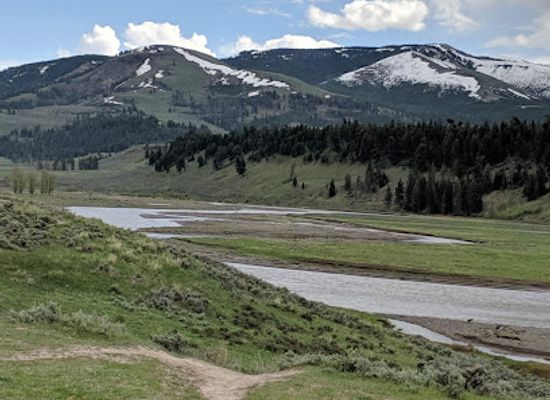 wyoming/bighorn-basin/landmark/lamar-valley