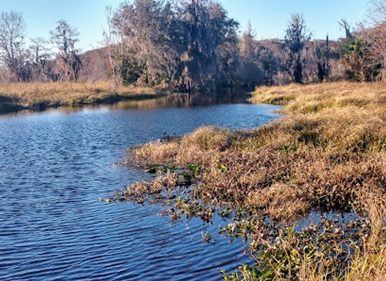 florida/suwannee-river/landmark/marjorie-kinnan-rawlings-historic-state-park