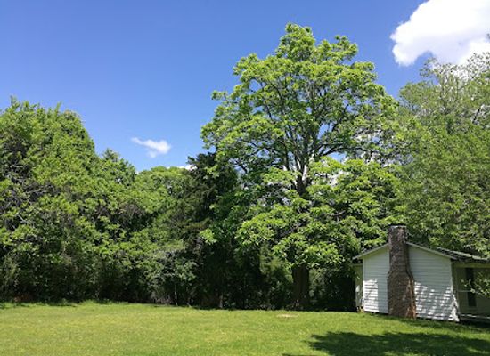 mississippi/north-mississippi/landmark/rowan-oak