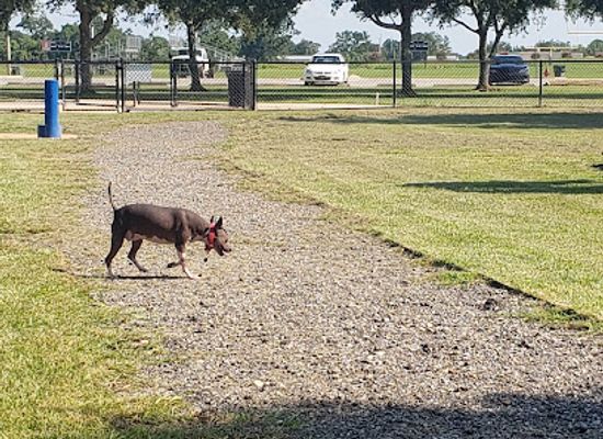 alabama/daphne/landmark/daphne-dog-park