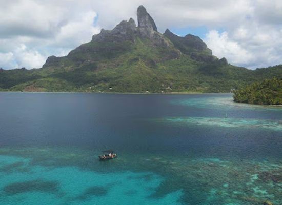 french-polynesia/raiatea/landmark/tohora-bora-bora-snorkeling-lagoon-tours-whale-watching