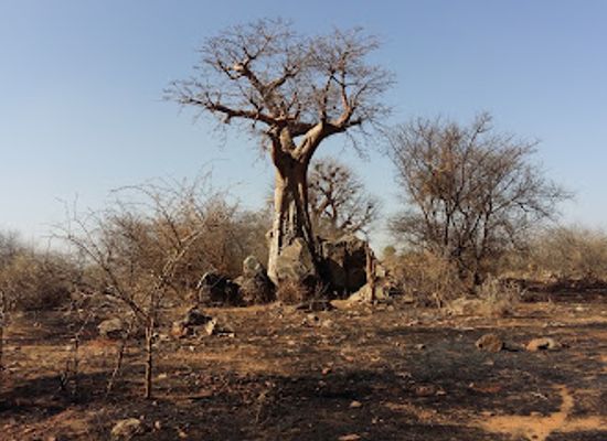 ethiopia/tigray-region/landmark/kafta-sheraro-national-park