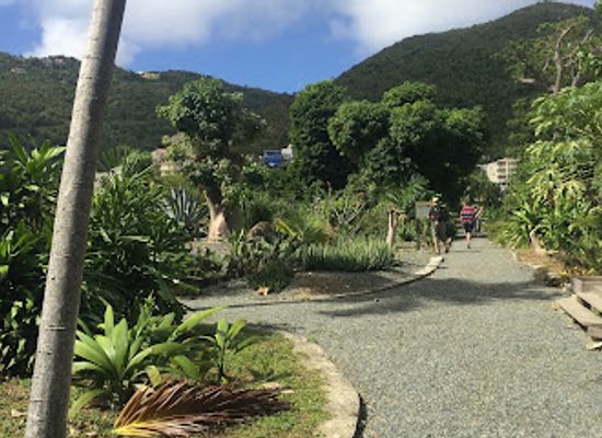 british-virgin-islands/spanish-town/landmark/j-r-o-neal-botanical-gardens