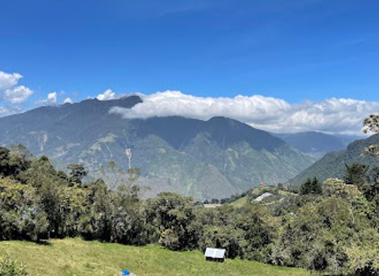 ecuador/napo-region/landmark/la-casa-del-arbol