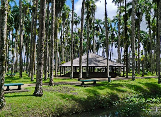 suriname/saramacca-district/landmark/palmtree-garden