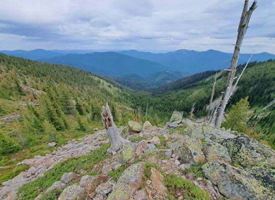 idaho/panhandle/landmark/salmo-priest-wilderness