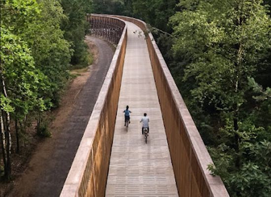 belgium/campine-kempen/landmark/fietsen-door-de-heide