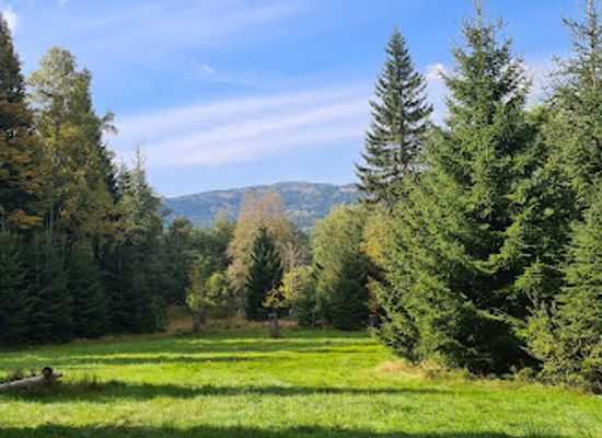 czechia/sumava-national-park/landmark/vlci-vybeh-srni-podivani-zvenku