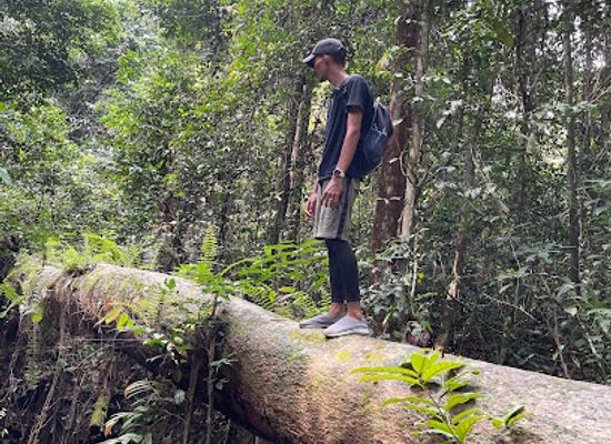 gabon/mayombe-forest/landmark/arboretum-raponda-walker