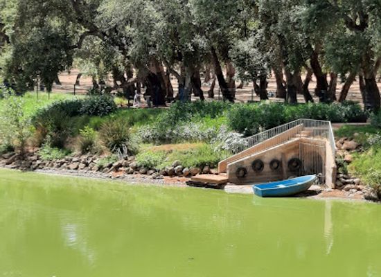 morocco/gharb/landmark/urban-city-forest-kenitra