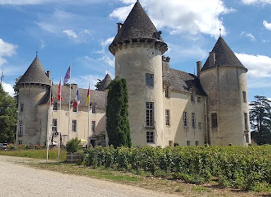 france/burgundy/landmark/chateau-de-savigny-les-beaune