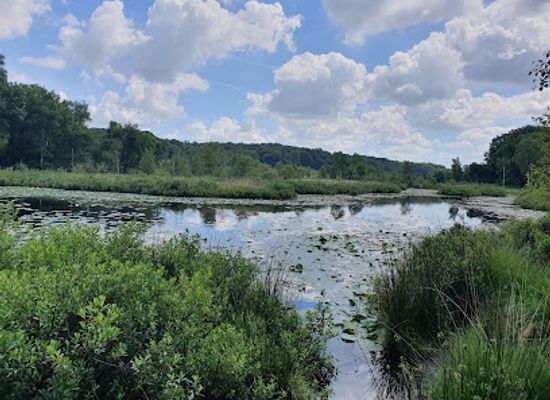netherlands/limburg/landmark/meinweg-national-park