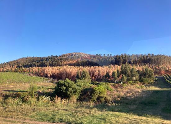 uruguay/lavalleja/landmark/sierras-de-minas