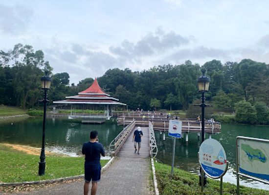 singapore/north-region/landmark/macritchie-treetop-walk-trailhead