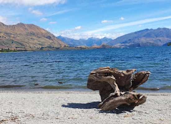 new-zealand/wanaka/landmark/thatwanakastump