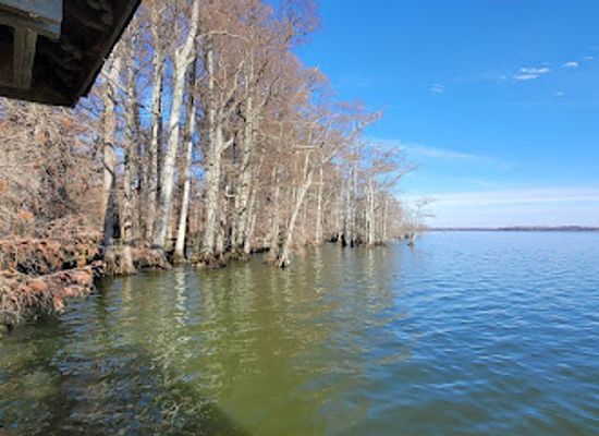tennessee/reelfoot-lake-area/landmark/park-office-visitor-center