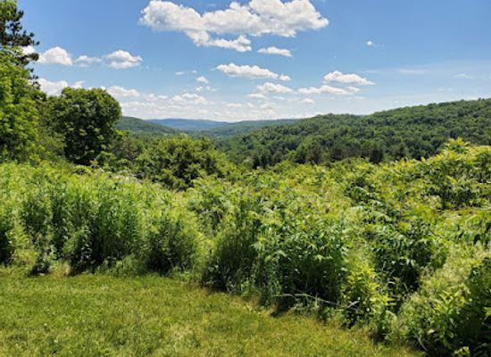 vermont/green-mountains/landmark/lake-carmi-state-park