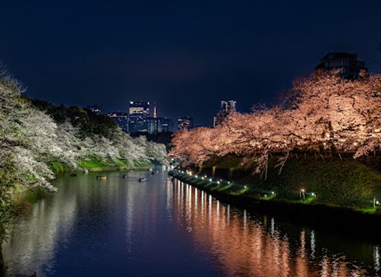 japan/kanto/landmark/chidorigafuchi-moat