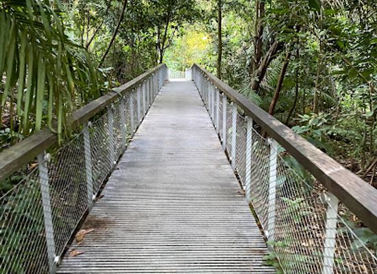 singapore/macritchie-reservoir/landmark/rifle-range-link