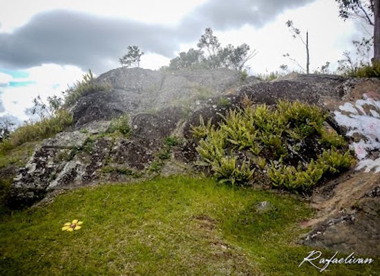 puerto-rico/south-region/landmark/el-banquillo