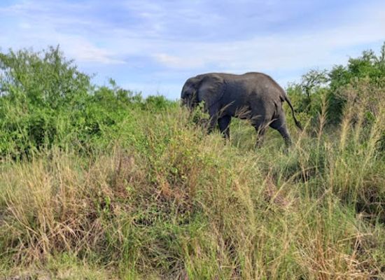 uganda/central-region/landmark/kidepo-valley-national-park-safari