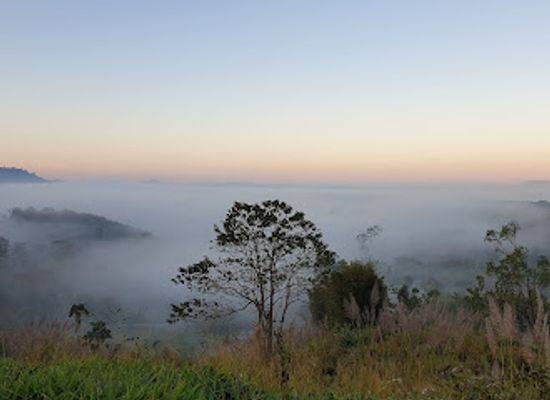 thailand/phetchabun-mountains/landmark/thung-salaeng-luang-national-park