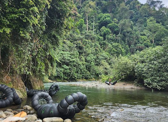 indonesia/bukit-lawang/landmark/sumatra-orangutan-discovery-villa