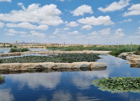 israel/beersheba/landmark/river-park-beer-sheva