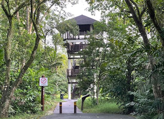 singapore/pasir-ris/landmark/pasir-ris-bird-watching-tower