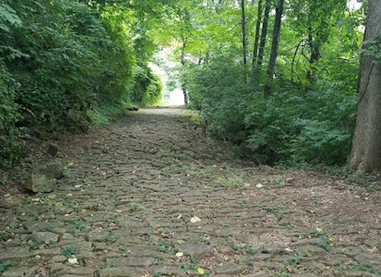 kentucky/bardstown/landmark/cobblestone-path