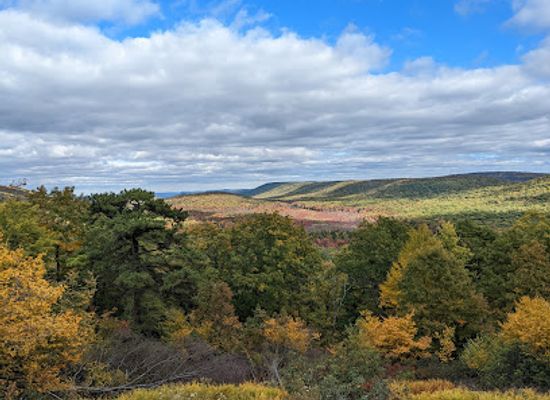 pennsylvania/happy-valley/landmark/rothrock-state-forest