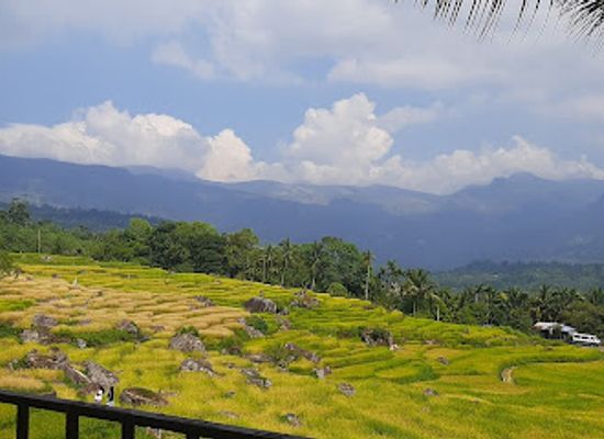 sri-lanka/central-province/landmark/ranamune-raja-pihilla-kothmale