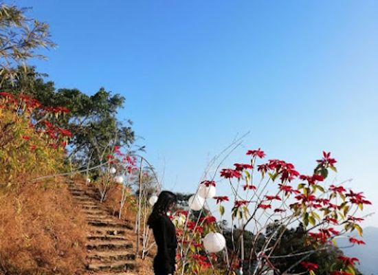india/northeast-india/landmark/tsiekhrezou-view-point-nerhema