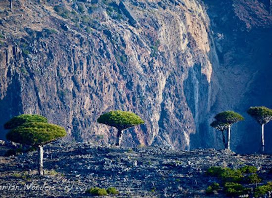 yemen/socotra-archipelago/landmark/diksam